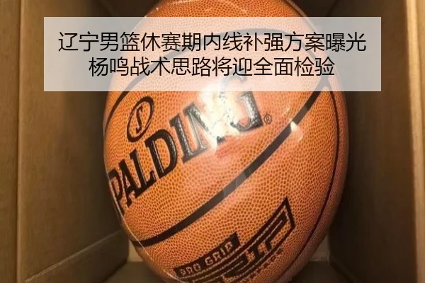 辽宁男篮休赛期内线补强方案曝光 杨鸣战术思路将迎全面检验